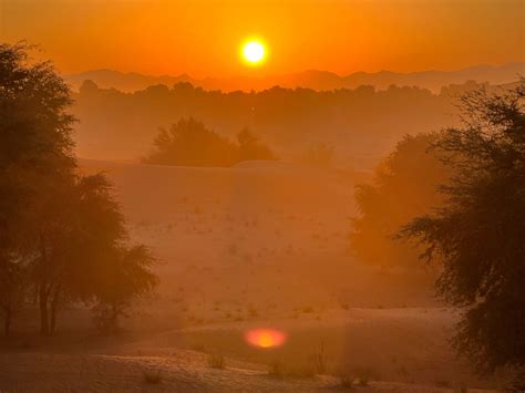 Sand Sherpa (Dubai) - All You Need to Know BEFORE You Go