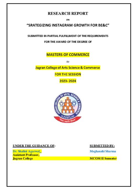 Meghna report - Summary bachlour of computer application - RESEARCH ...