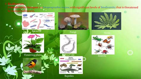 Management of Natural Resources 的图像结果