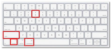Image result for How to Copy and Paste Whole Screen