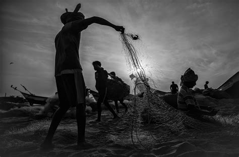 Along Land's End | Nature inFocus