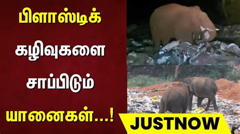 Tamil Nadu News, Latest Tamil Nadu News Online today in Tamil ...