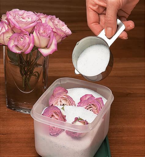 How Do You Use Silica Gel For Drying Flowers | Best Flower Site