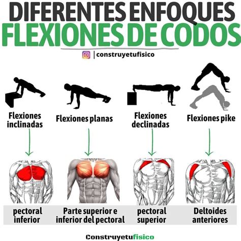José Marichal | Entrenador personal on Instagram: "Flexion de codos, ejercicio estrella para ...