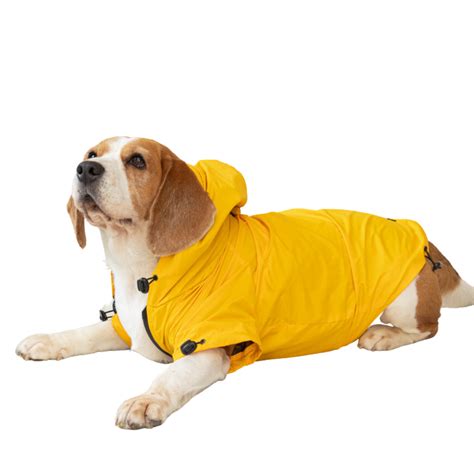 Yellow Hoodie Raincoat – Pawpourri