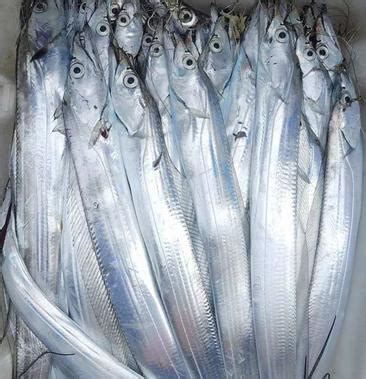 [带鱼批发]连云港发货 黄海带鱼新鲜冷冻带鱼小眼刀鱼整条发货价格12.00元/斤 - 一亩田