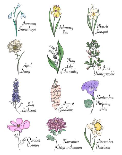 Birth Flowers For Each Month
