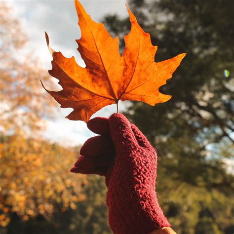 When Is the Best Time to Visit Newfoundland? Fall or Winter.