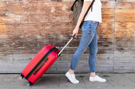 Why Trolley Bags Are the Ultimate Choice for Hassle-Free Travel – SMART ...