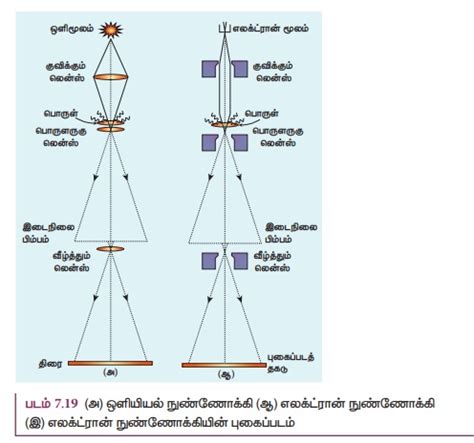 எலக்ட்ரான் நுண்ணோக்கி - வேலை செய்யும் விதம், தத்துவம் | இயற்பியல் ...