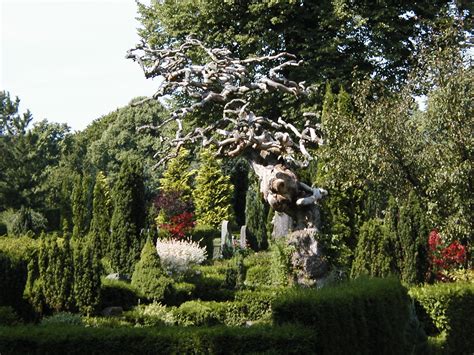 Abstract Tree with String 的图像结果