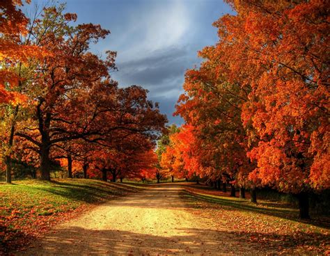 Image result for Autumn Homework EYFS