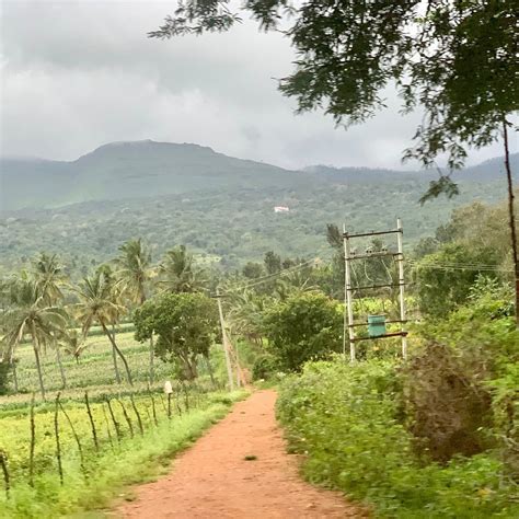 RANGA TAANA (Karnataka/Chikmagalur, India) - Campground Reviews ...