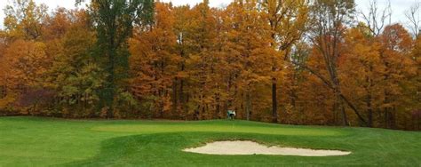 Bronson Township independent travel guide (2025): top things to do near ...