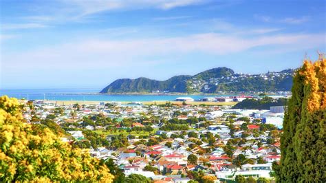 Wellington 2021: Top 10 Tours & Activities (with Photos) - Things to Do in Wellington, New ...