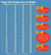 Image result for Baby Daily Feeding Chart