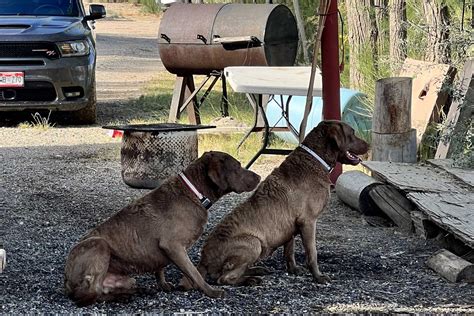 Mack, Colorado Fully Fenced Dog Parks for Rent | Sniffspot