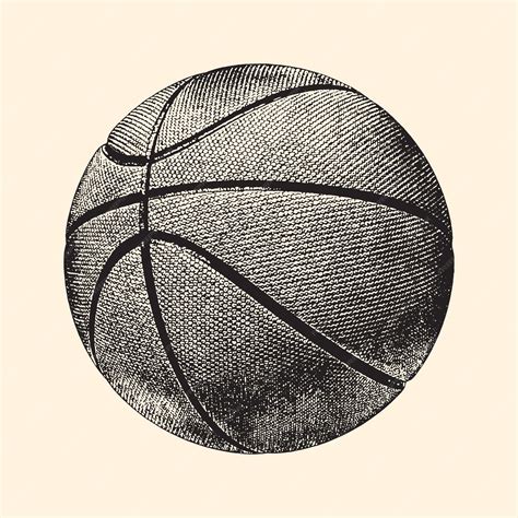 Basketball Drawing 的图像结果