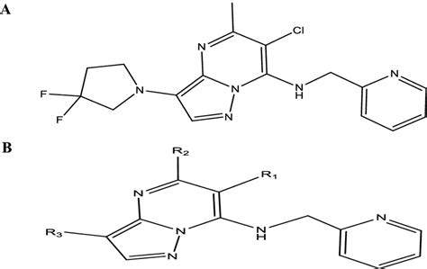 Lead Compound 的图像结果