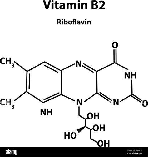 Vitamin B2. riboflavin Molecular chemical formula. Infographics. Vector illustration on isolated ...