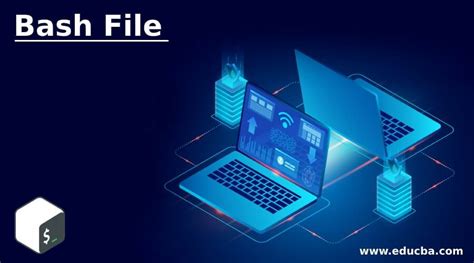 Bash File 的图像结果