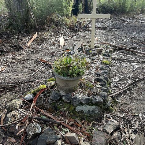 GRAVE OF KITTY CANE - All You Need to Know BEFORE You Go 2026 (with ...