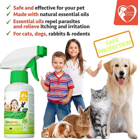 Buy Natural Flea and Tick Home Spray for Dogs, Cats & Ferret - Mosquito ...