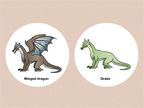 Nordic Dragon Meaning Viking Alphabet | How To Train Your Dragon Wiki