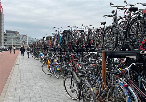 Cycling In Amsterdam