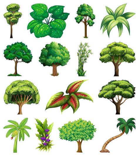 Set of variety plants and trees | Premium Vector