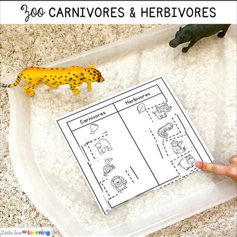 WILD Zoo Animal Preschool, Pre-K, & Kindergarten Activities