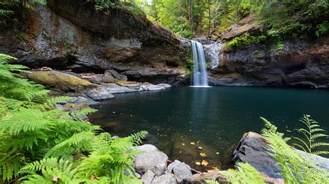 Image result for Waterfall Plot JavaScript