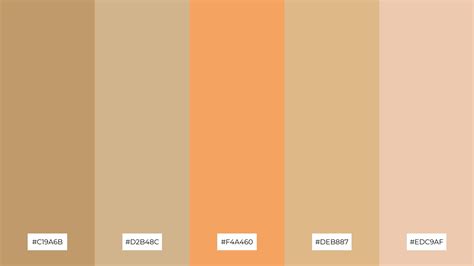 The Best 15 Desert Sand Color Palette Combinations