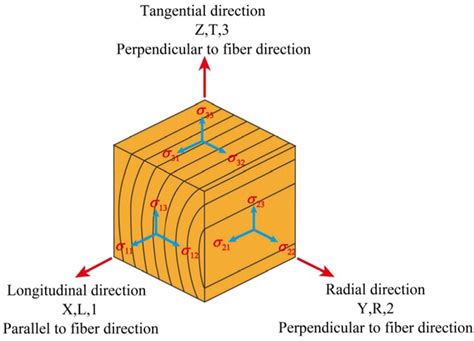 Study on Reinforcement Measures for Wood Composite Beams with ...