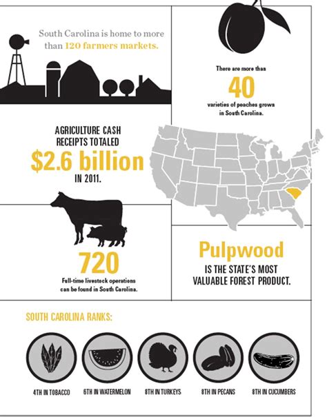 South Carolina Agriculture 的图像结果