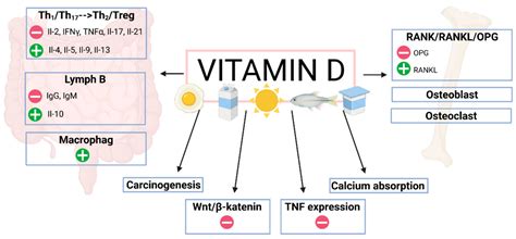 Pleiotropic Effects of Vitamin D in Patients with Inflammatory Bowel ...