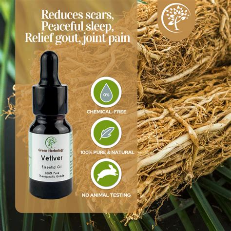 What Is Vetiver Oil at Helen Williamson blog