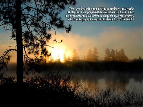 1° Pedro 2:9 | Servo de Cristo