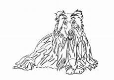 ausmalbilder hunde mischlinge malvorlagen hunde ausmalbilder hunde mischlinge malvorlagen hunde