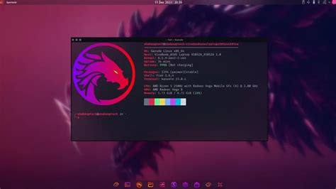 Garuda Linux Install 的图像结果