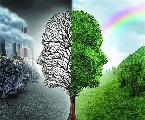 Effects of Pollution Chapter Notes - Geography Class 9 ICSE PDF Download