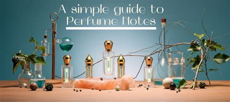 A Simple Guide to Perfume Notes: Top, Heart & Base Explained