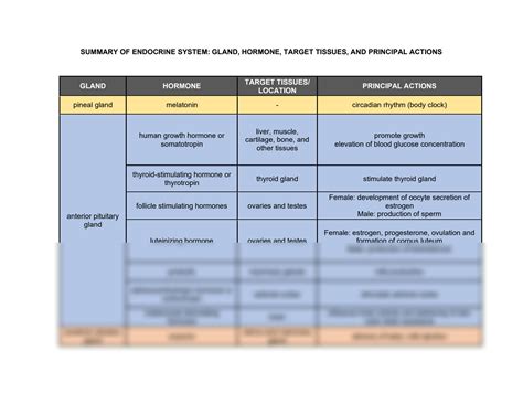 Image result for Endocrine System Table
