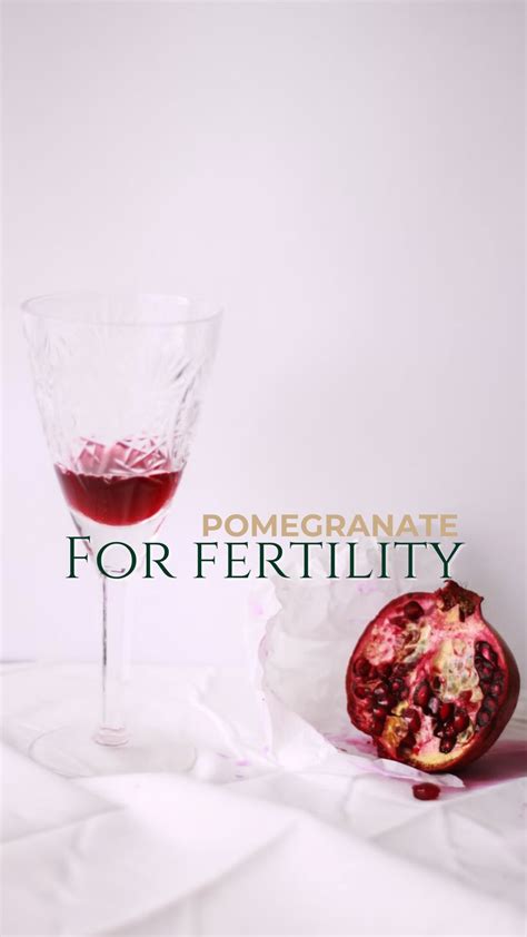 Dr. Natalie Underberg, DC | PREGNANCY PREP AND FERTILITY (@the.pcos.doc ...