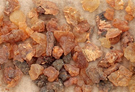 Myrrh Oil - Myrrh Essential Oil - Uses and Benefits