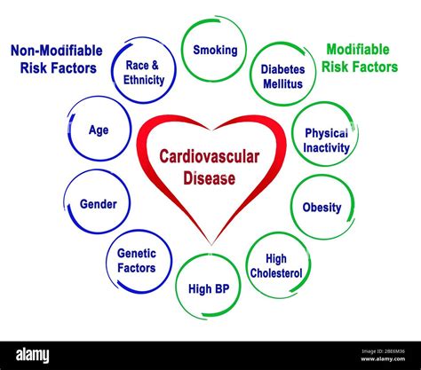 Non-Modifiable and Modifiable Risk Factors for Cardiovascular Disease Stock Photo - Alamy