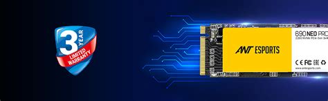 Amazon.in: Buy Ant Esports 690 Neo Pro M.2 NVME 256GB Internal Solid ...