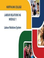 Image result for Labour Relations N6 Module 3