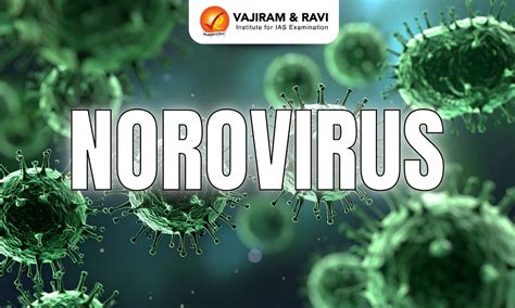 Norovirus, Transmission, Symptoms, Treatment, Latest News