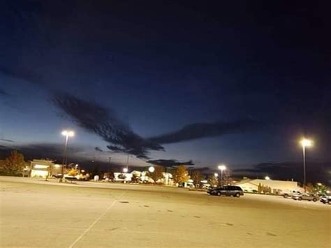 Image result for Hawk Catching Cat